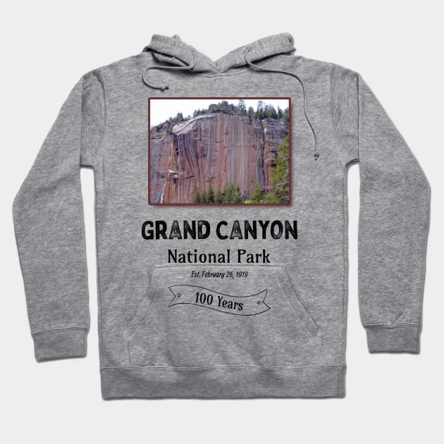 Grand Canyon National Park 100 Year Anniversary Hoodie by numpdog